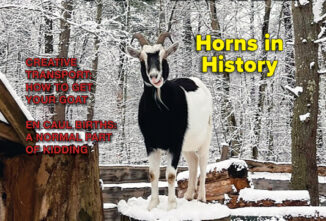 Goat Journal Digital Issue 20